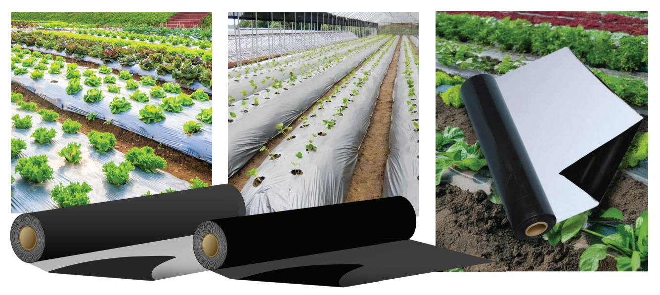  أفلام التغطية الزراعية للتربة