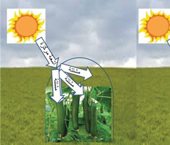 DIFFUSION DE LA LUMIERE SOLAIRE