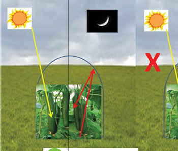 EFFET THERMIQUE NOCTURNE